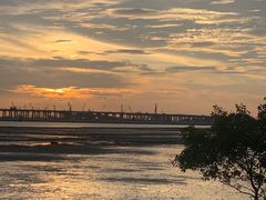 -宝安西湾红树林湿地公园