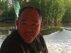 -白洋淀景区