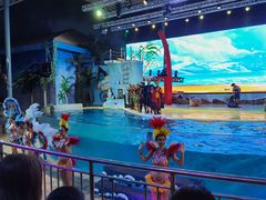 -三亚海昌梦幻海洋不夜城