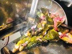 -蜀滋香鲜鱼美蛙火锅(339店)