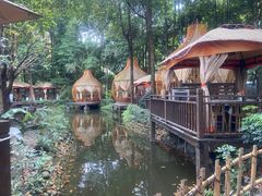 -二荆条·蜀鲜汇城市森林火锅