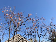 -有喜胶东小馆(太申祥和店)