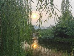 -眉山湿地公园(东坡区)