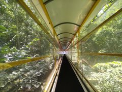 -七仙岭温泉国家森林公园