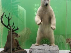 -国家自然博物馆