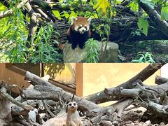 -杭州少年儿童公园