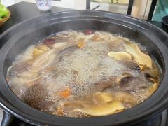 -蘑统田下·野生菌火锅