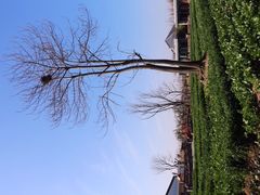 iphone_upload_pic-田园东方蜜桃村的田野营地