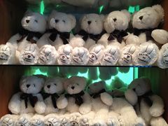 -济州岛泰迪熊博物馆