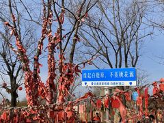 -白鹿原影视城