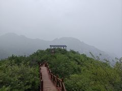 -大岭沟猕猴桃谷风景区