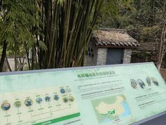 -都江堰中华大熊猫苑
