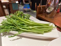-九码头重庆毛肚火锅(棠岗店)
