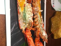 -黑松白鹿(崇文门新活馆店)