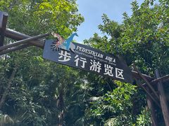-海南热带野生动植物园