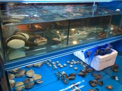 水产区-鑫釜山海鲜烧烤(浑南店)
