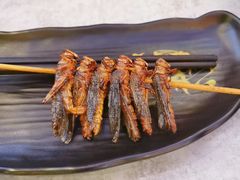 -纪录片《人生一串》体验店(静安店)