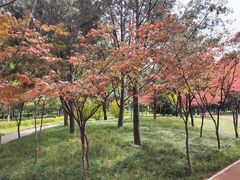 -木塔寺遗址生态公园