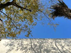 -国际非物质文化遗产博览园