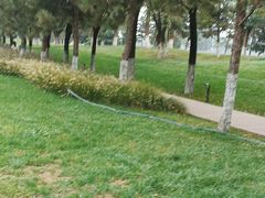 -汉长安城未央宫国家考古遗址公园