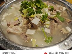-三晋老田饸饹面(中大街店)