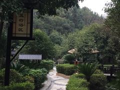 -明月山天沐温泉度假村