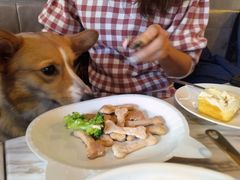 宠物饼干-the rug 飞毯 (朝阳公园店)