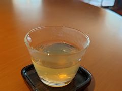 -广州富力君悦大酒店空中花园