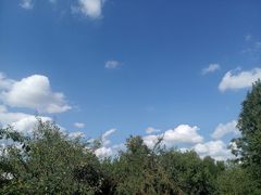 -维乐口腔医院(星海湾分院)
