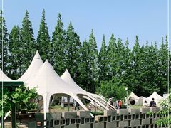 -前小桔亲子创意农场·草莓采摘·露营烧烤