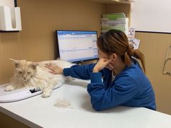 -瑞派康怡24h宠物医院·犬猫医疗中心·微创绝育(瑞景分院)