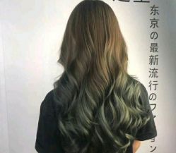 -藤野造型