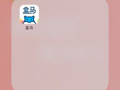 -盒马鲜生(和谐广场店)