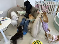 -怪兽屋·羊驼·猫咖·狗咖(俊华广场店)