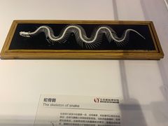 -生命奥秘博物馆