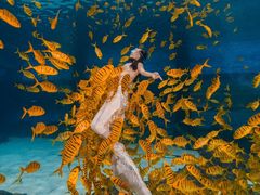 -三亚海昌梦幻海洋不夜城