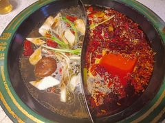 菌汤鸳鸯锅-有拈头成都市井火锅(南山总店)