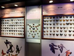 -吉林省自然博物馆