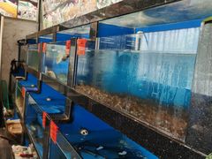 水产区-华盛丰温州大排档(东三环南路店)