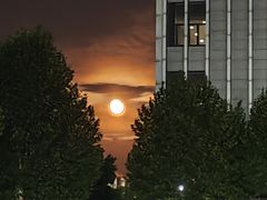 -中国地质大学图书馆