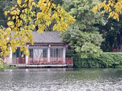 -荔湾湖公园