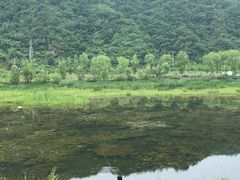 -白河湾生态旅游一条川
