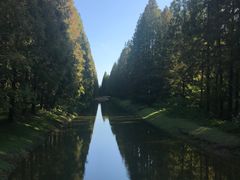 -黄海国家森林公园