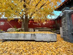 -北京石刻艺术博物馆(五塔寺)