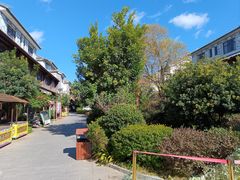 -回辉登偰氏面片(东莲花美食街店)