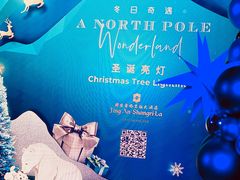 -上海静安香格里拉大酒店