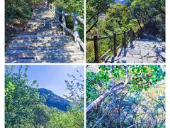 -周口店坡峰岭风景区