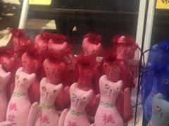 -猫咪博物馆(顶澳仔猫街店)