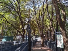 -苏州河梦清园环保主题公园