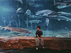 -华夏文旅海洋公园